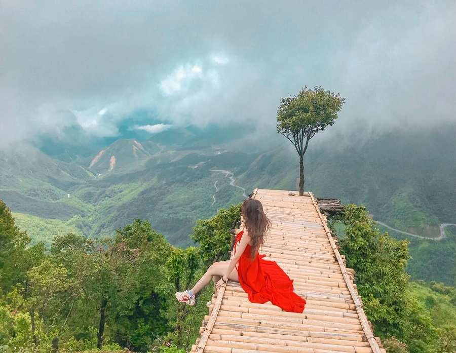 Cây Cô Đơn trên đèo Lạc Dương