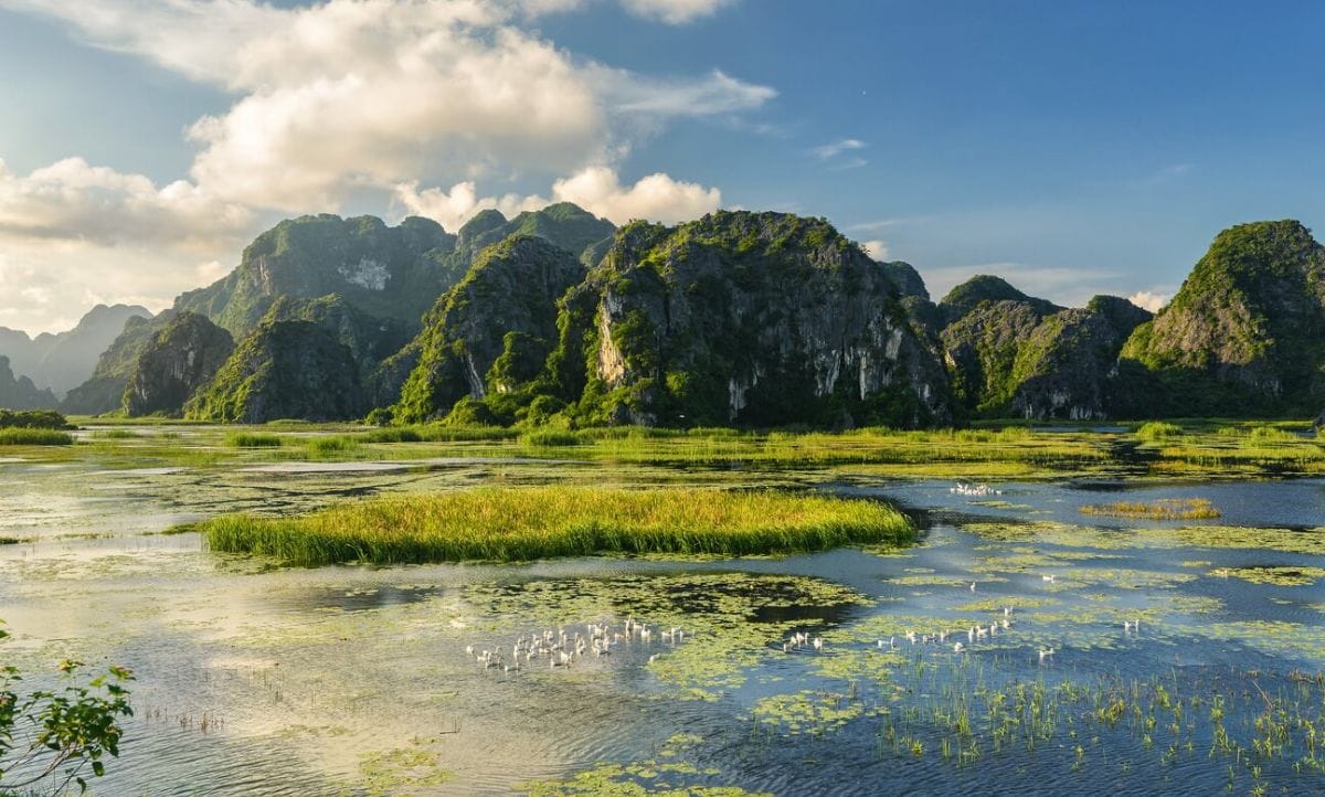 Đầm Vân Long - Khu bảo tồn đất ngập nước